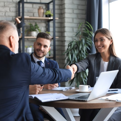 Business Consultancy Services